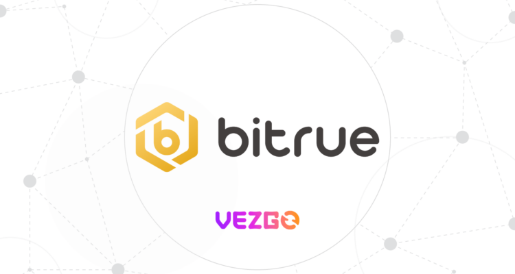 Vezgo Alternative to Bitrue API